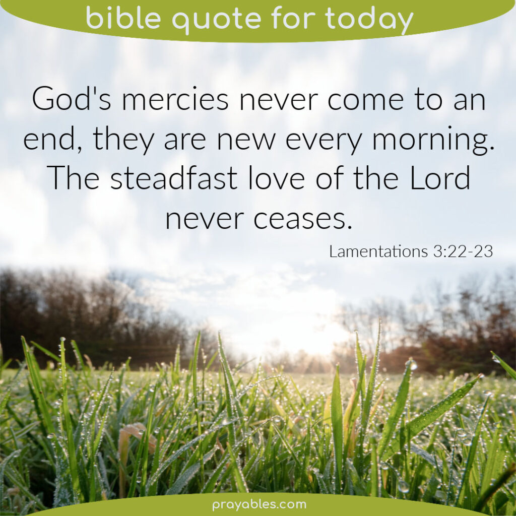 Lamentations 3:22-23 The steadfast love of the LORD never ceases