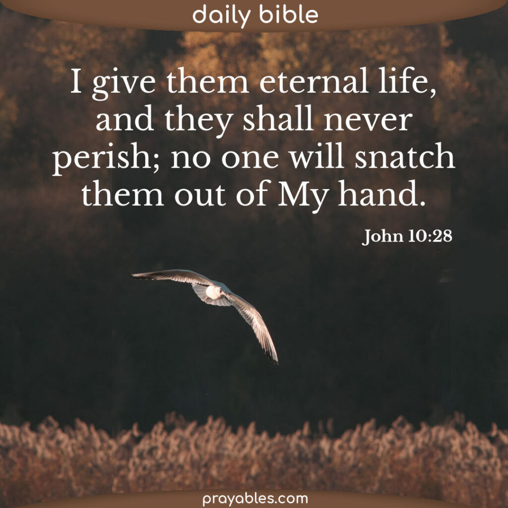 bible-john-10-28-prayables