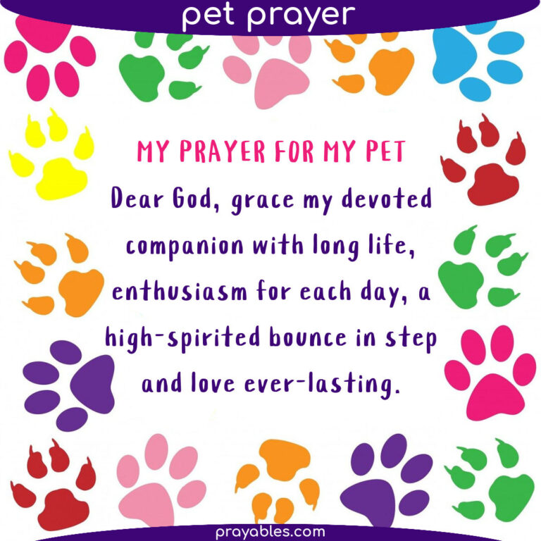 Prayer For My Pet Prayables