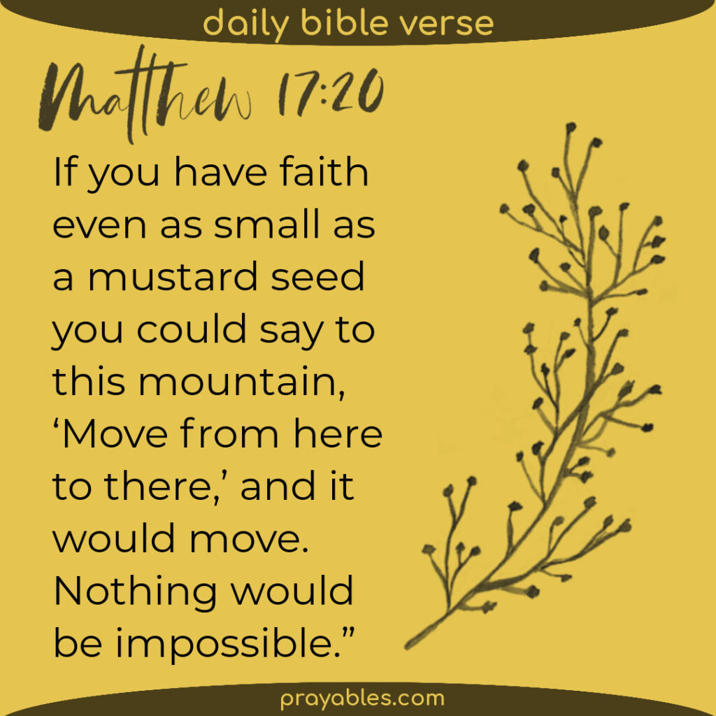 Bible Matthew 17 20 Prayables