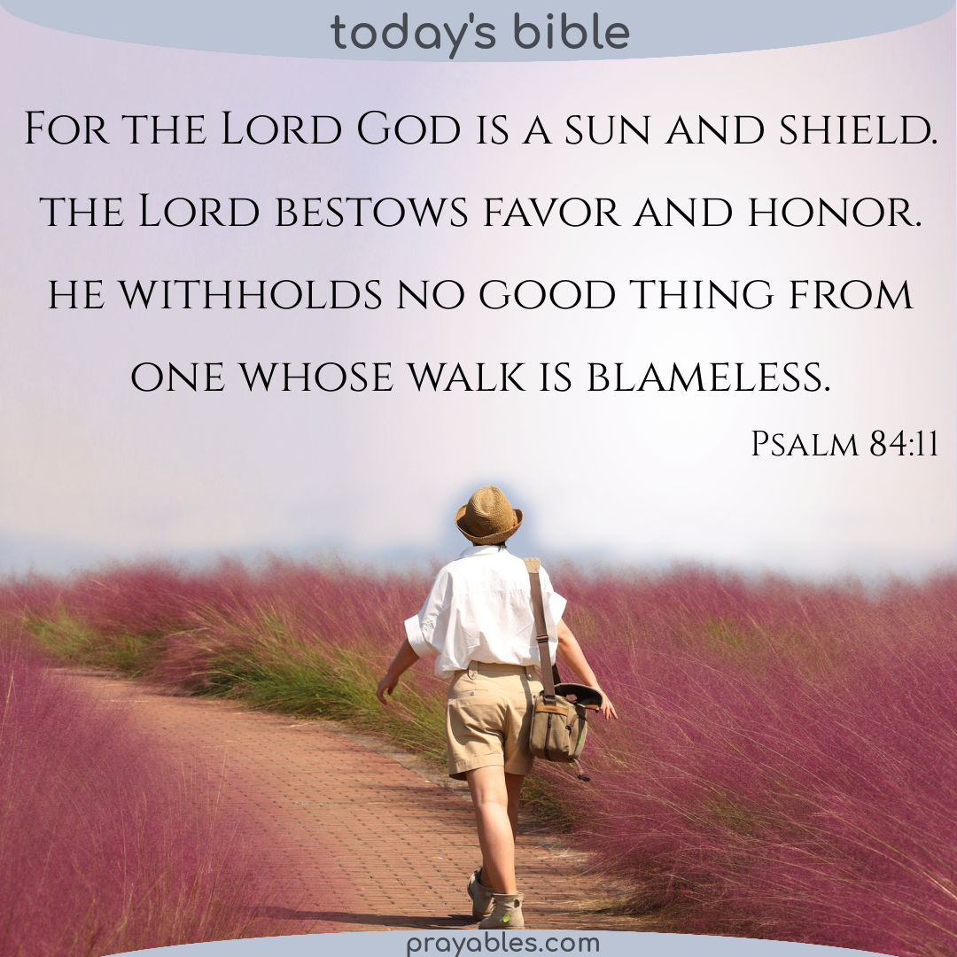 Bible: Psalm 84:11 - Prayables