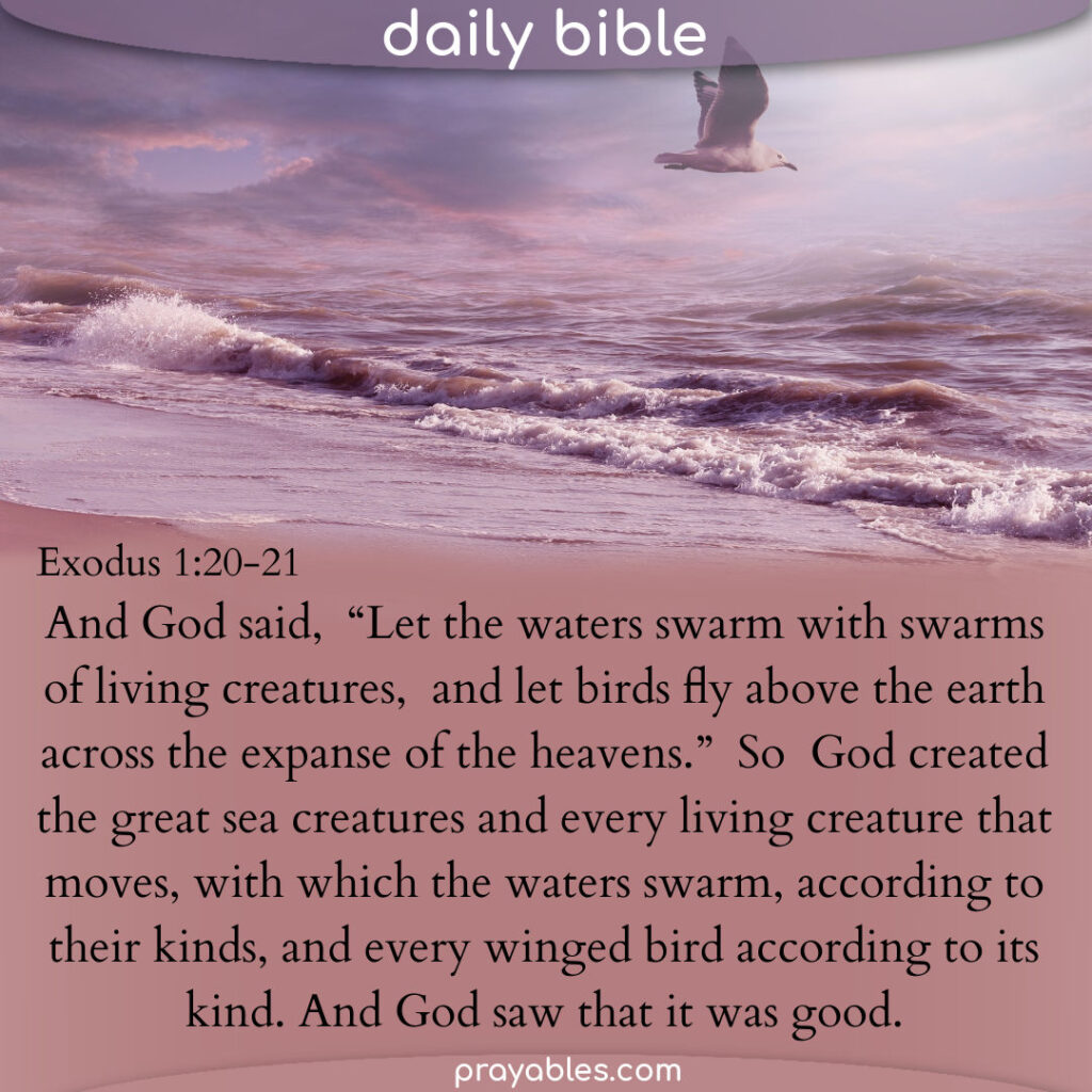 bible-exodus-1-20-21-prayables