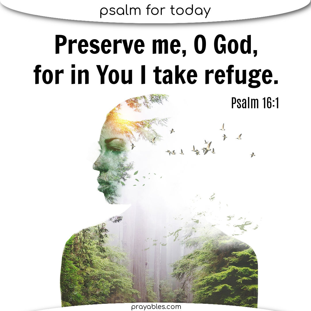 Bible psalm 16 1 prayables