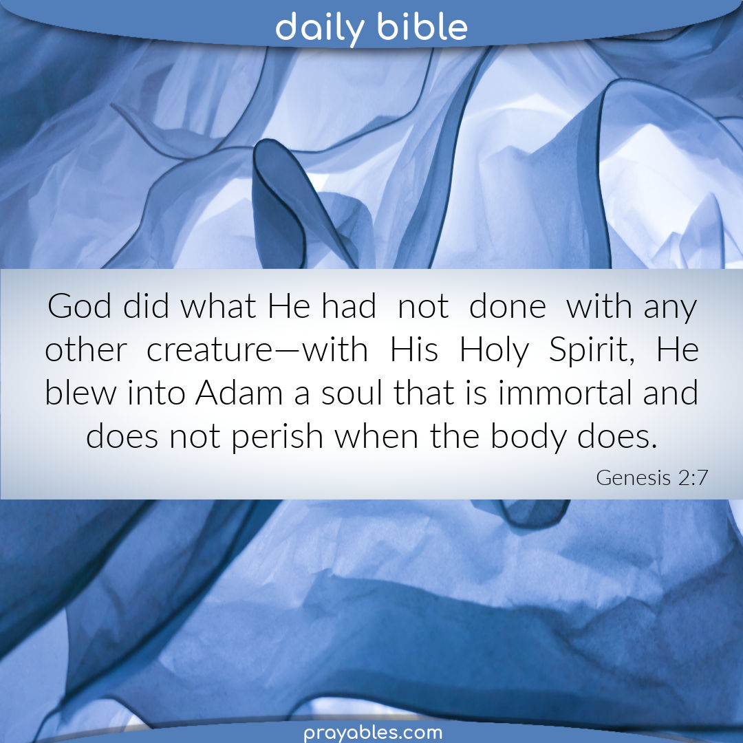 Bible Genesis 2 7 Prayables