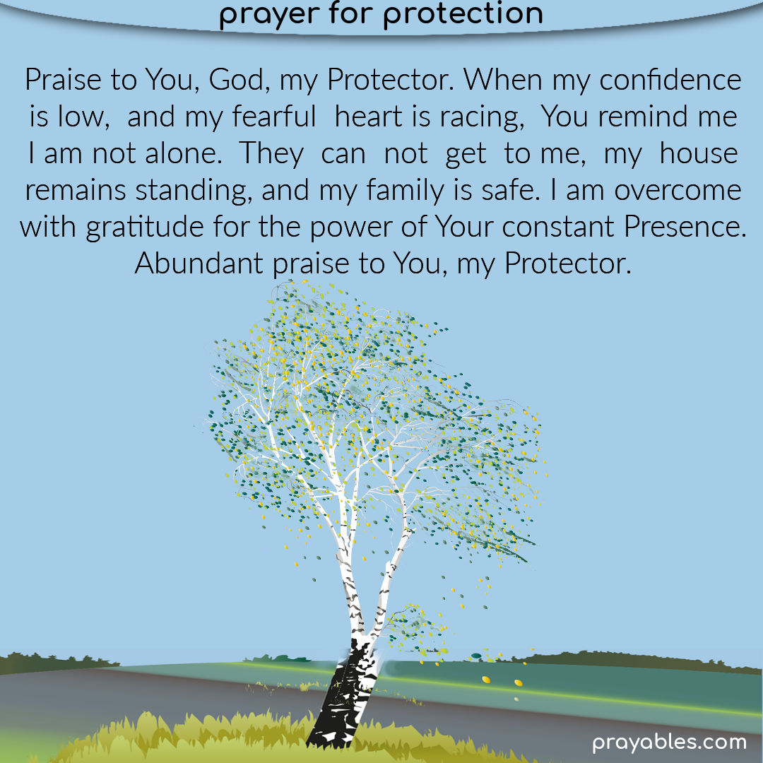 Prayer: God my Protector - Prayables