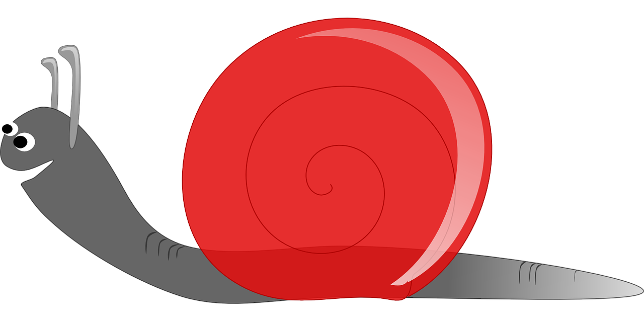 Humor Snail and Me Prayables