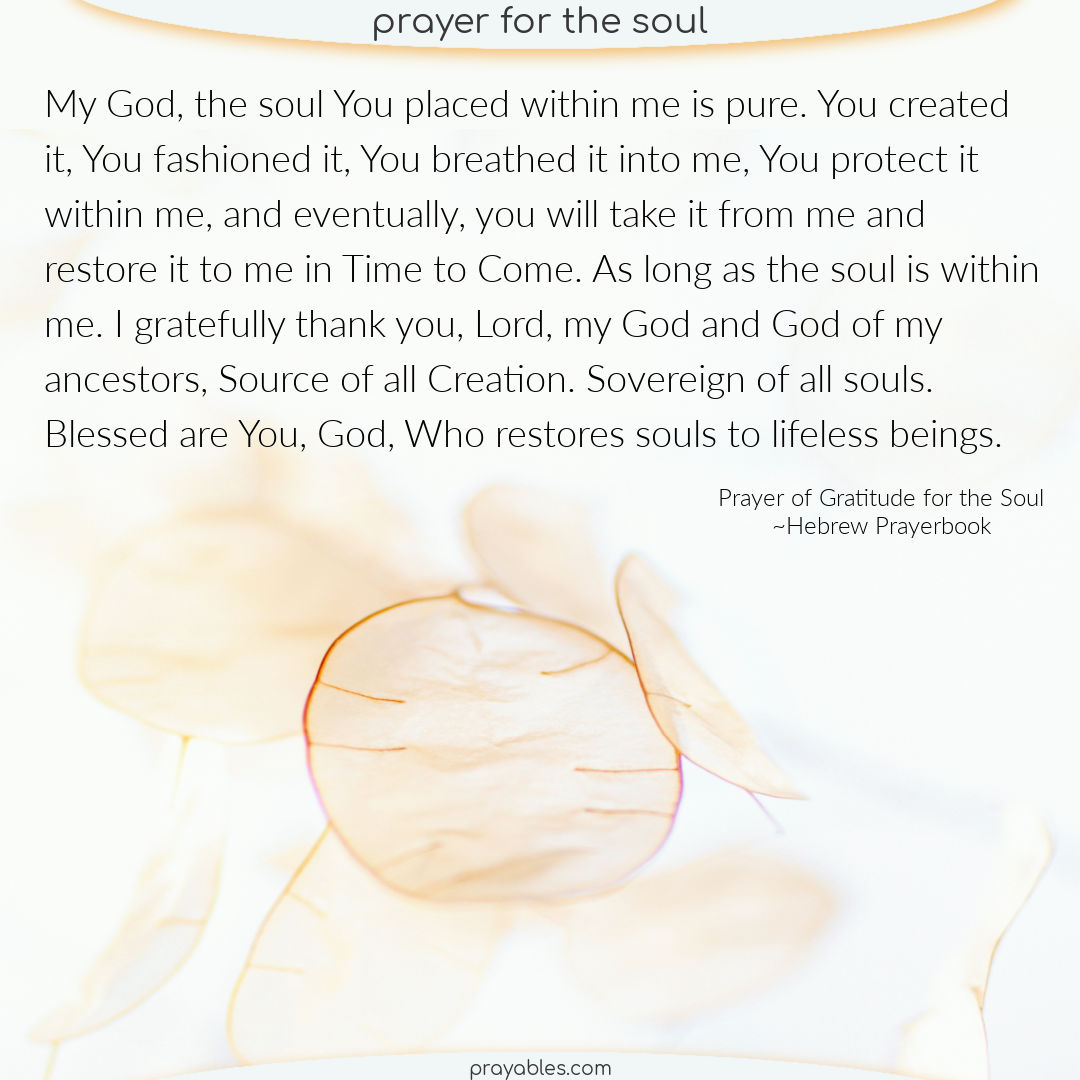 Good Soul Story: One Sweet Soul - Prayables