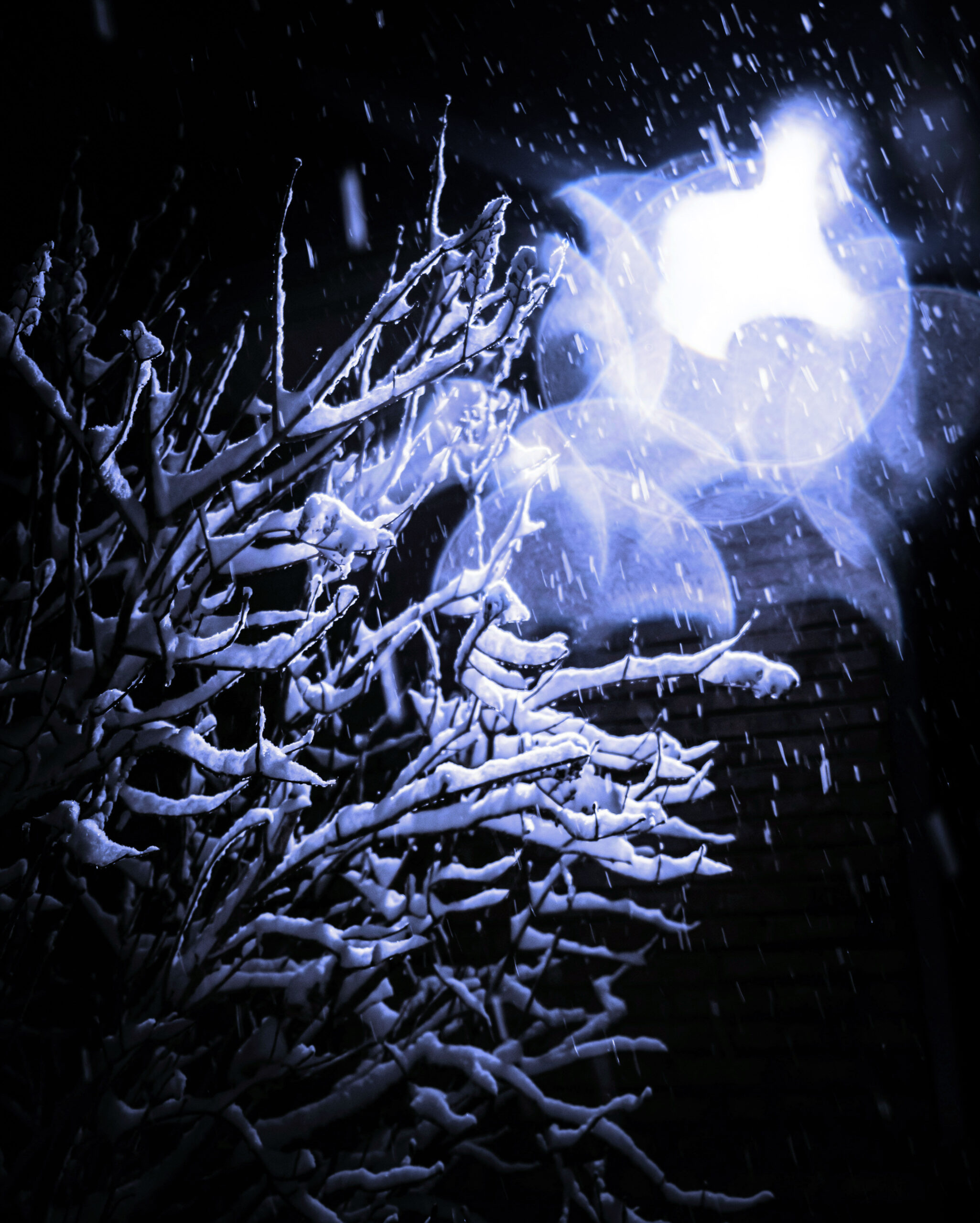 Poetry Snowy Night, Mary Oliver Prayables