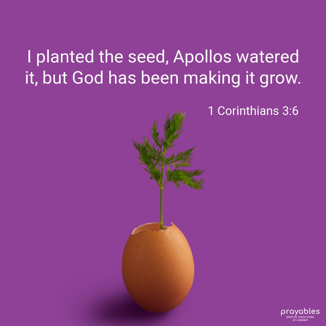 Bible: 1 Corinthians 3:6 - Prayables