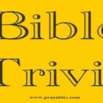 Bible Trivia