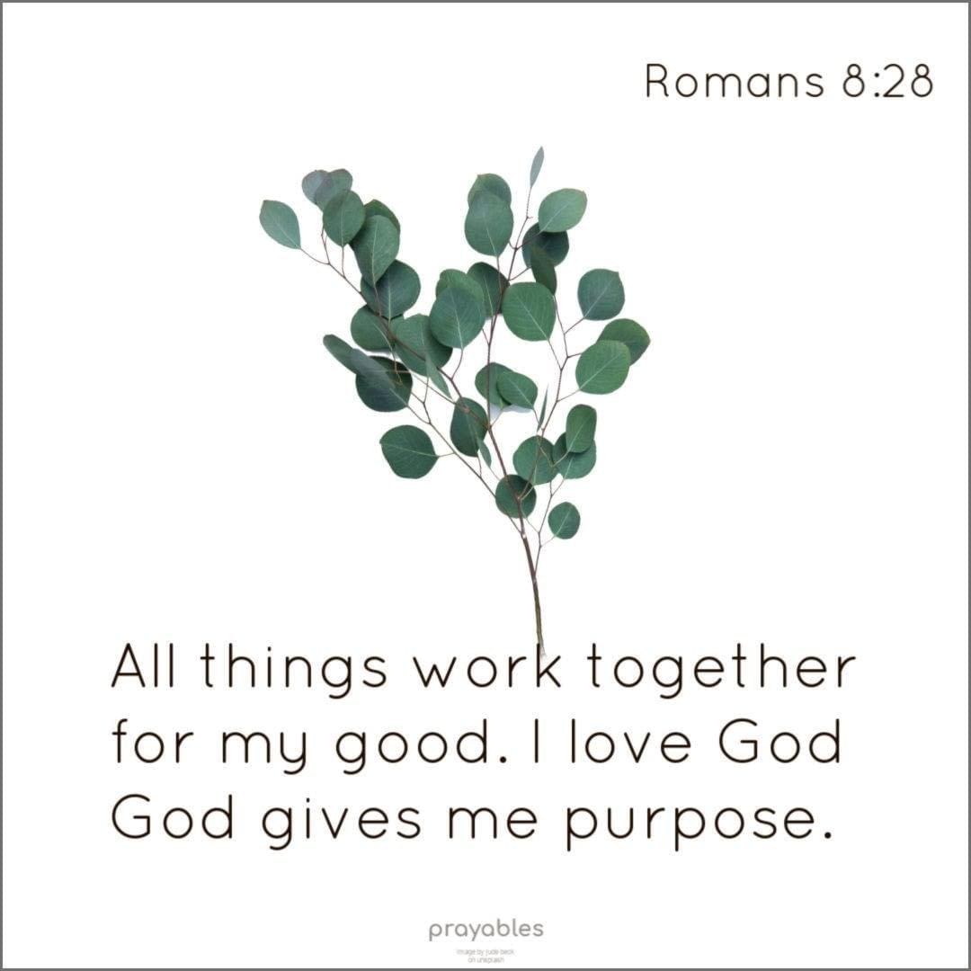 Bible: Romans 8:28 - Prayables