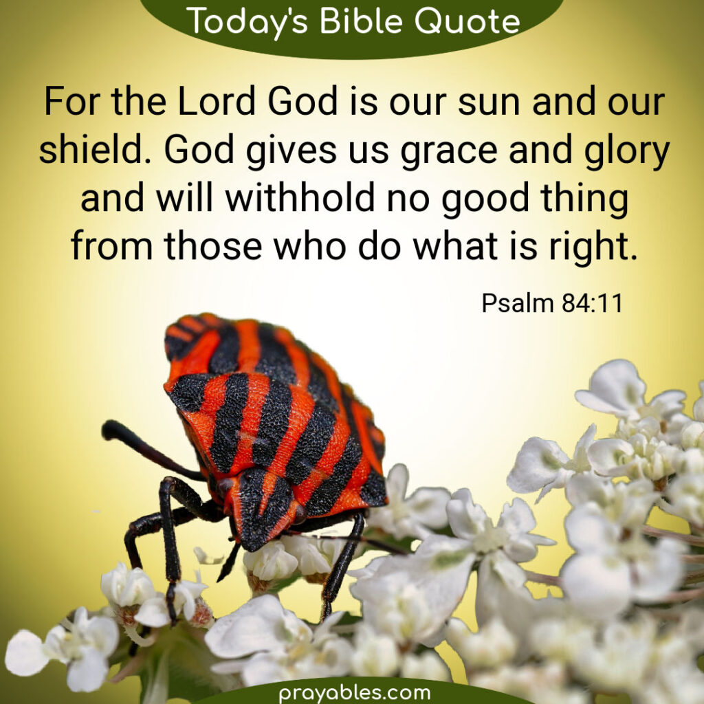 Bible Psalm 84 11 Prayables