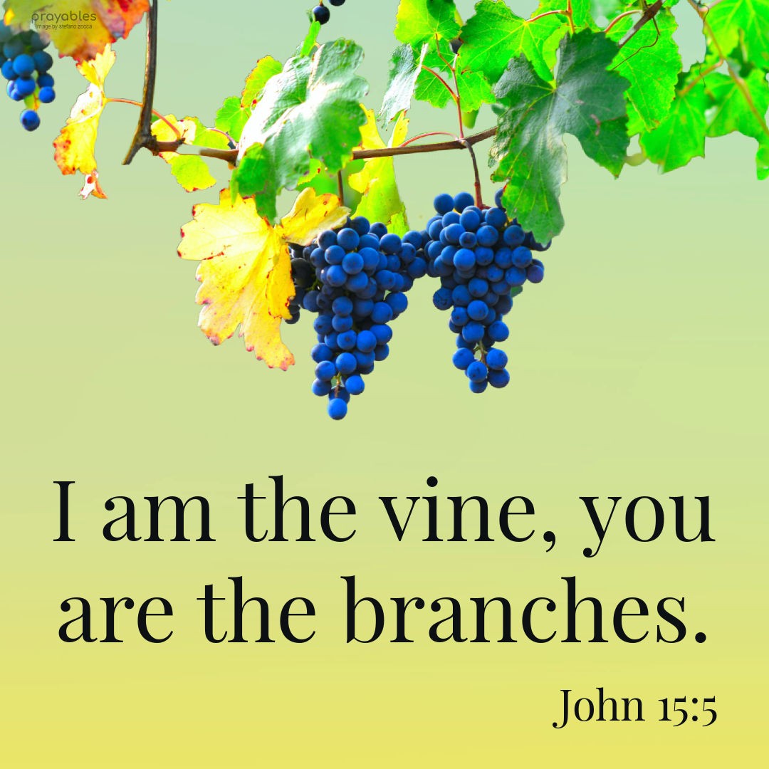 Bible: John 15:5 - Prayables