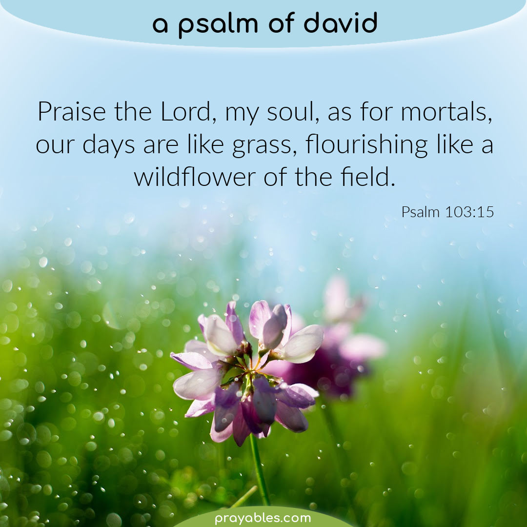 Bible Psalm 103 15 Prayables