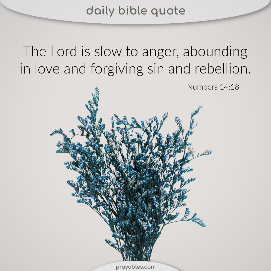 Bible Numbers 14 18 Prayables bible-numbers-14-18-prayables