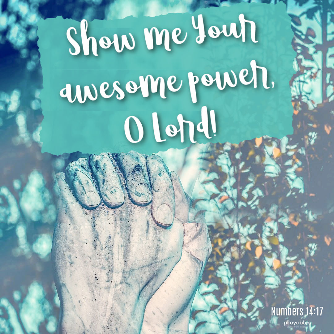 【bible】14点おまとめ Psalm 19:14 - Bible verse - DailyVerses.net