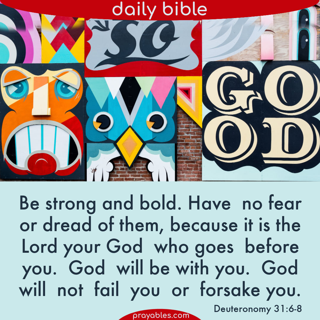 Bible Quotes