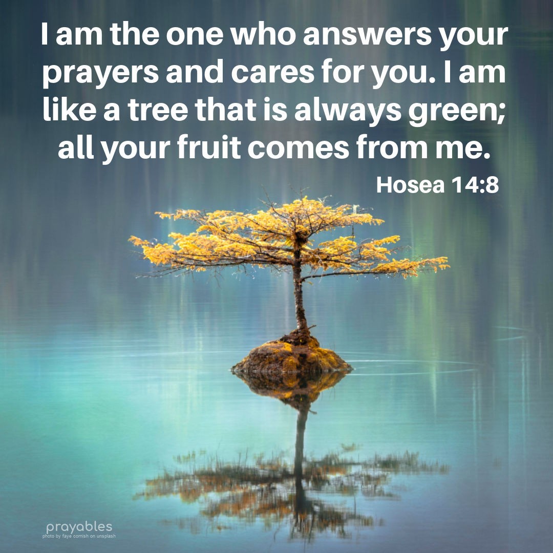 Bible Hosea 148 Prayables