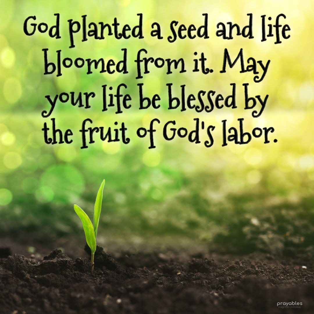 Blessing: Life Blooming - Prayables