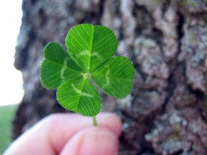 irish blessing clover