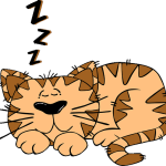 Daily Blessings Napping Cat