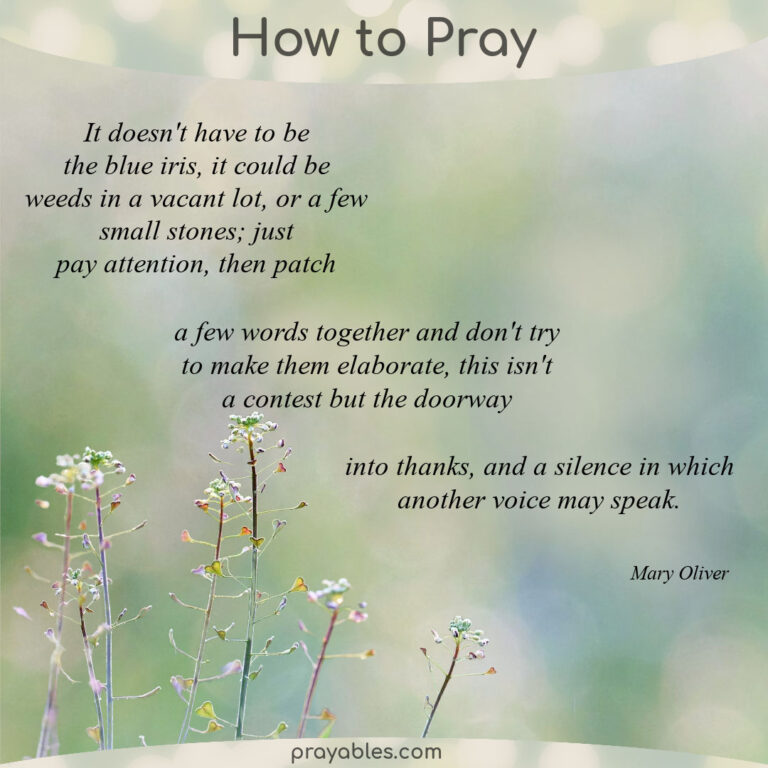 Prayer: Praying, Mary Oliver - Prayables