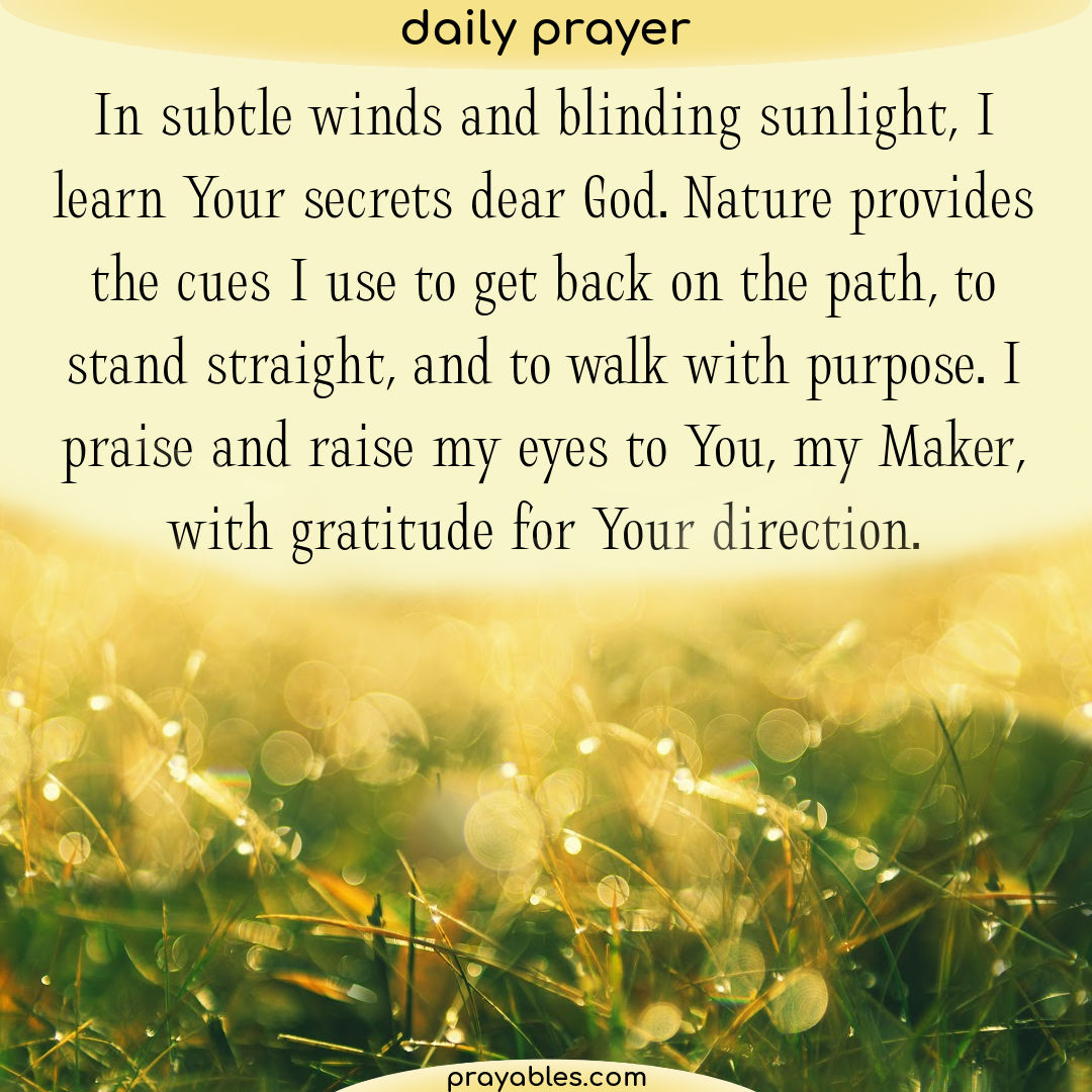 Prayer Gratitude For Direction Prayables